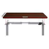 Artiss Standing Desk Motorised 120cm Walnut