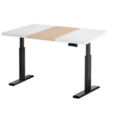 Artiss Standing Desk Motorised Electric Dual Motor 120cm