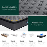 Zayden 34cm Euro Top Mattress - Queen