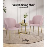 Bentley Set of 2 Dining Chairs Velvet Armchair - Pink