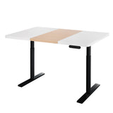 Artiss Standing Desk Motorised Electric Dual Motor 120cm