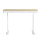 Artiss Standing Desk Motorised Electric Dual Motor Draw 120cm Oak