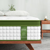 Aster 34cm Latex Hybrid 5-Zone Pocket Spring Mattress - King Single